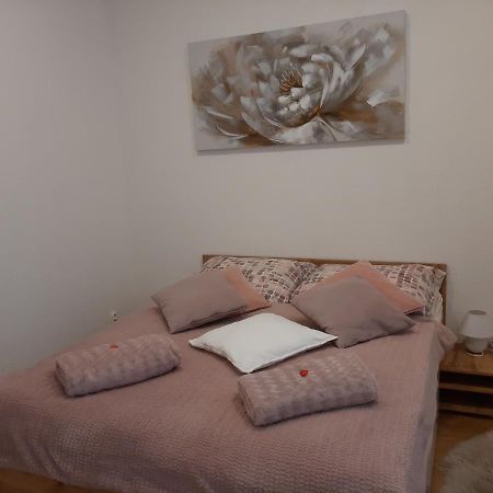 Apartman Plesnivec 多纳瓦利 外观 照片