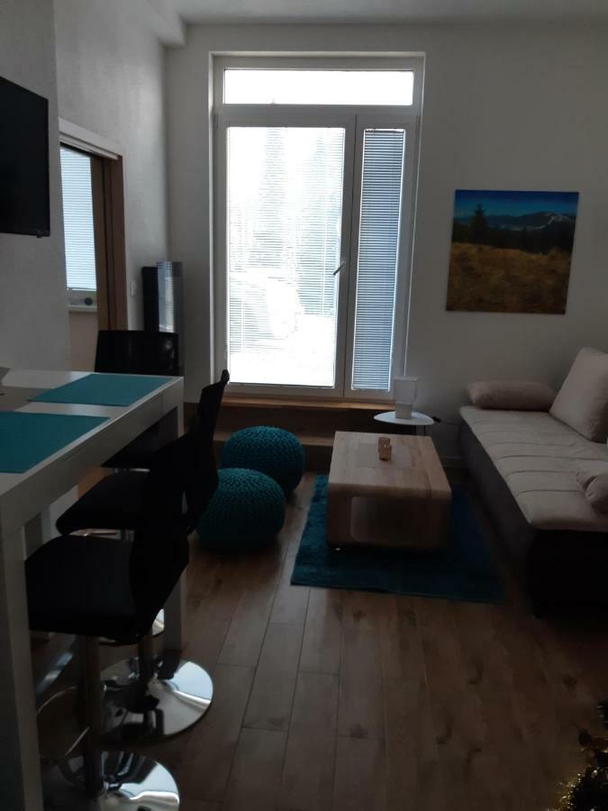 Apartman Plesnivec 多纳瓦利 外观 照片