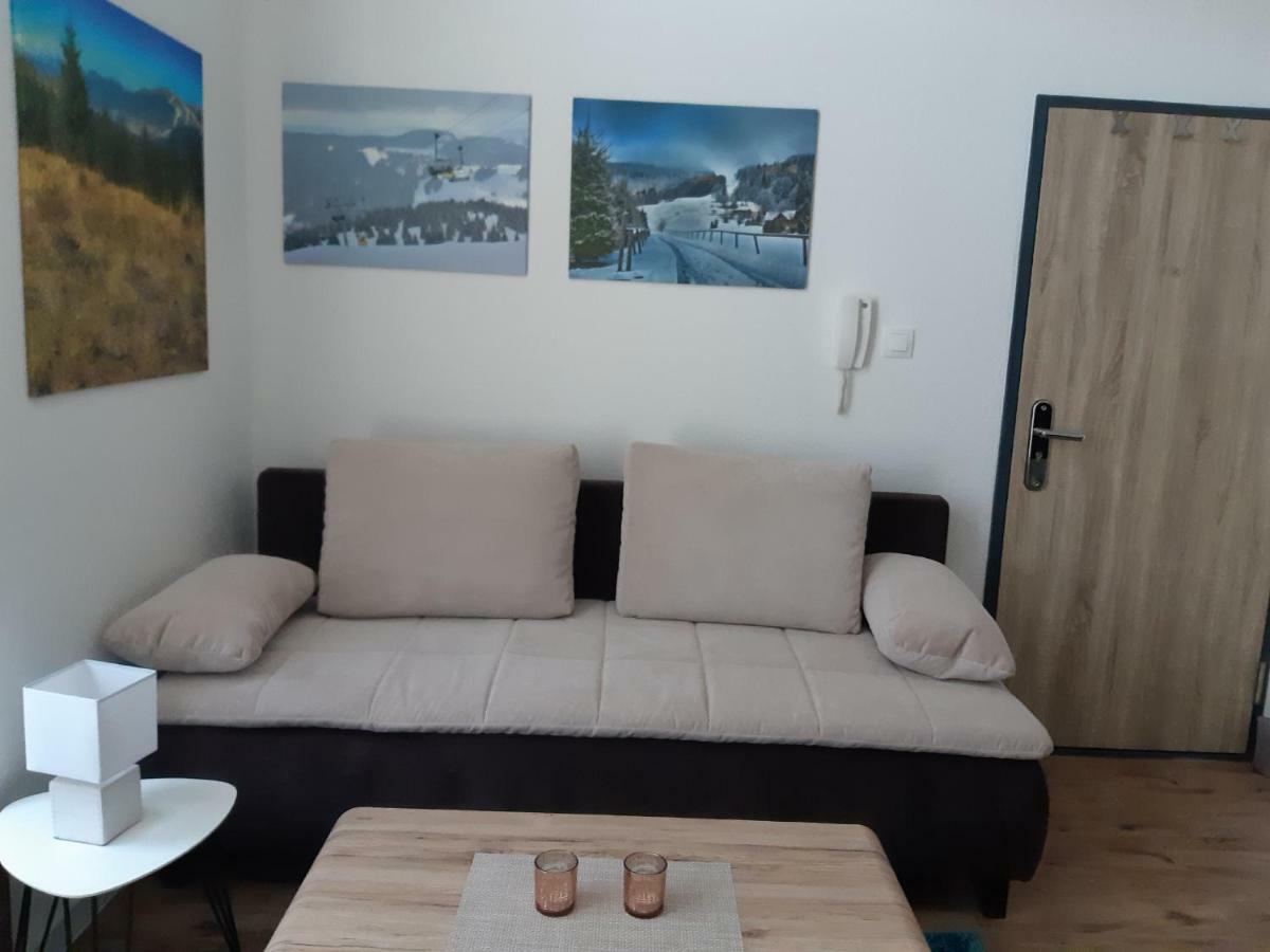 Apartman Plesnivec 多纳瓦利 外观 照片