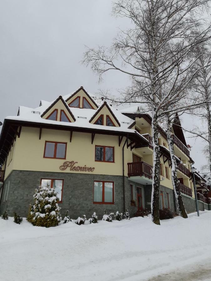 Apartman Plesnivec 多纳瓦利 外观 照片