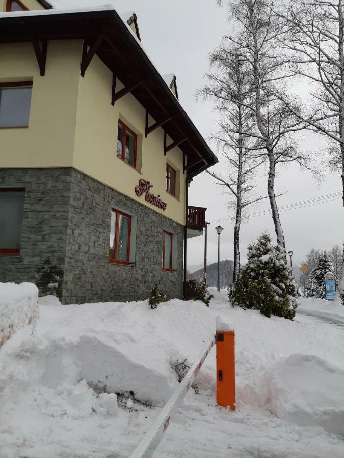 Apartman Plesnivec 多纳瓦利 外观 照片