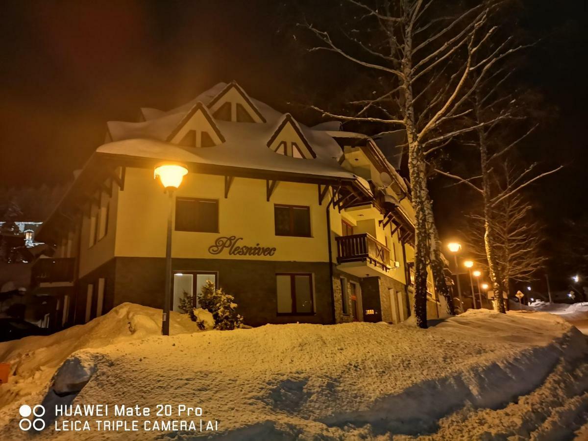 Apartman Plesnivec 多纳瓦利 外观 照片