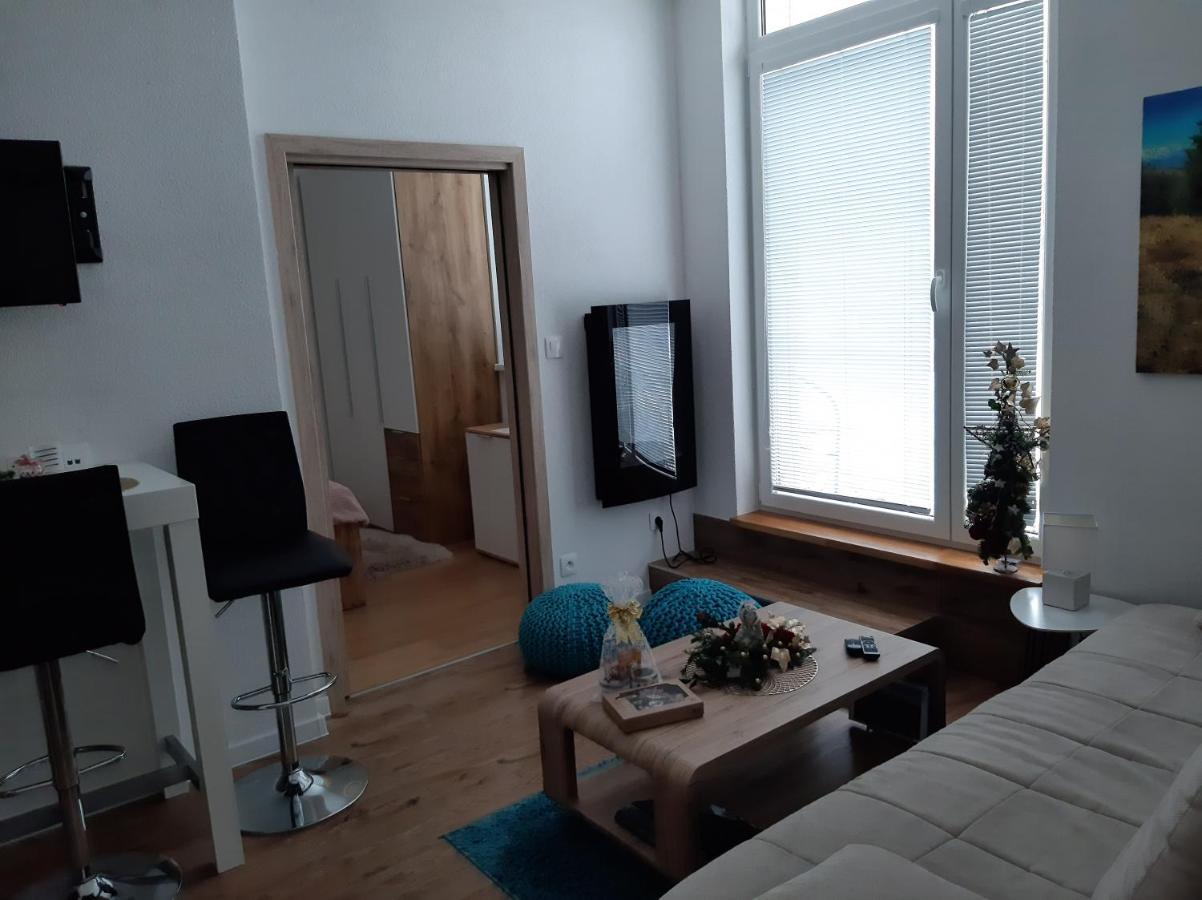 Apartman Plesnivec 多纳瓦利 外观 照片