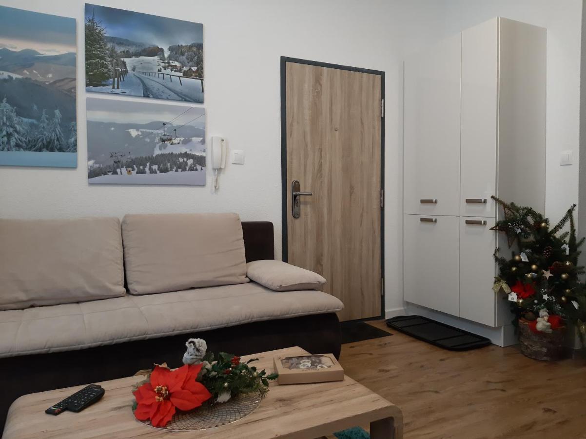 Apartman Plesnivec 多纳瓦利 外观 照片