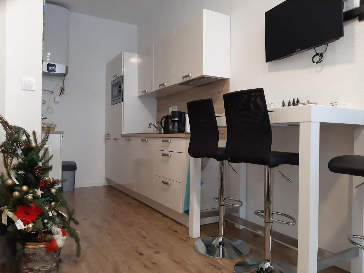Apartman Plesnivec 多纳瓦利 外观 照片