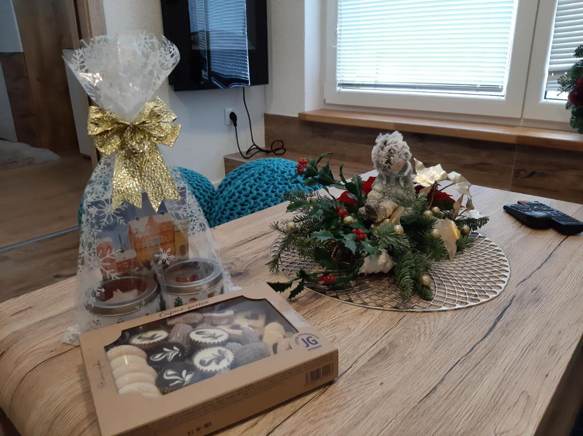 Apartman Plesnivec 多纳瓦利 外观 照片