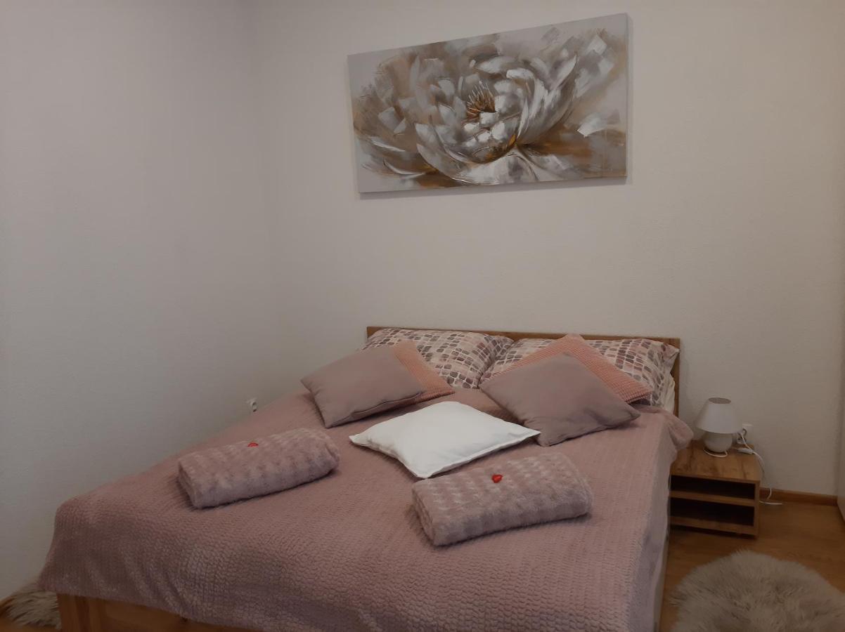 Apartman Plesnivec 多纳瓦利 外观 照片
